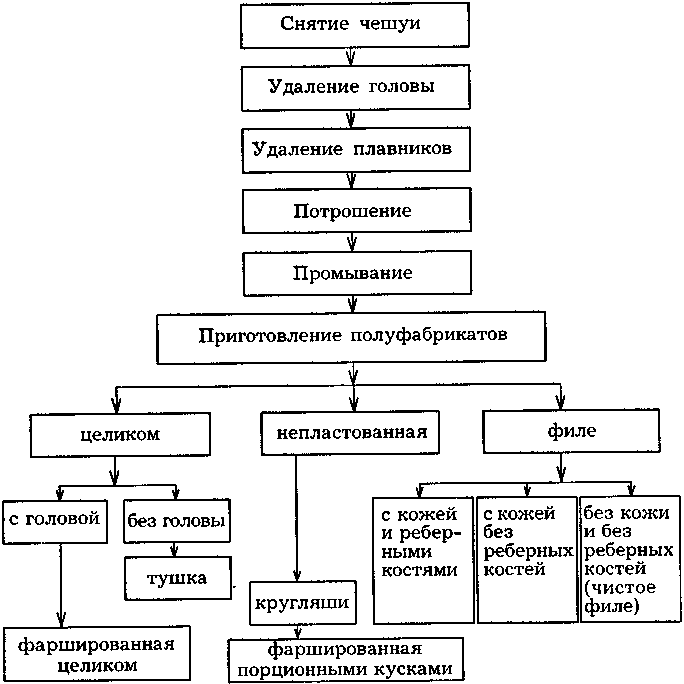 Способы обработки рыбы кратко