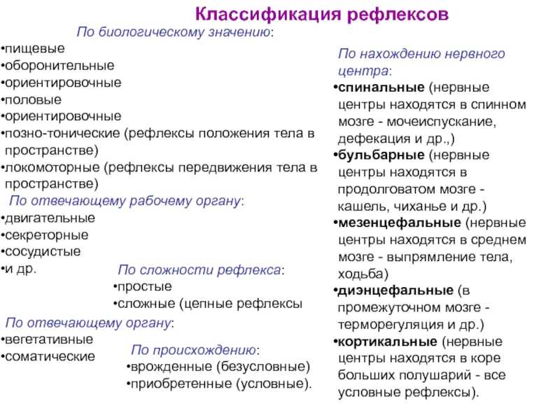 Условные рефлексы: механизм образования и биологическое значение