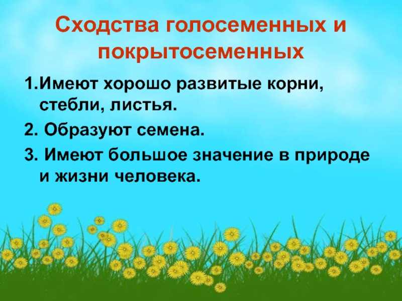 Покрытосеменные растения