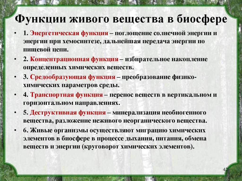 Живое вещество. функции живого вещества в биосфере