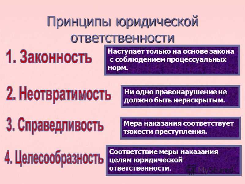 Принципы, цели и функции юридической ответственности