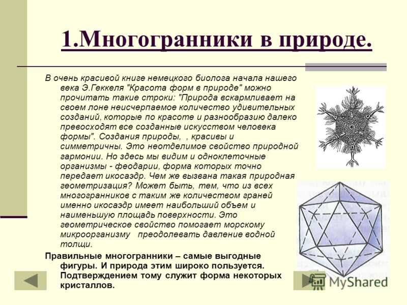 Презентация на тему: "в природе многогранники в природе " природа вскармливает на своем лоне неисчерпаемое количество удивительных созданий, которые по красоте и разнообразию.". скачать бесплатно и без регистрации.