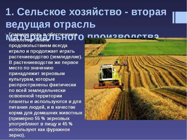 Отрасли сельского хозяйства – основные виды, состав, специализации кратко