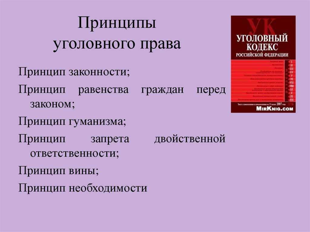 Принципы ук рф
