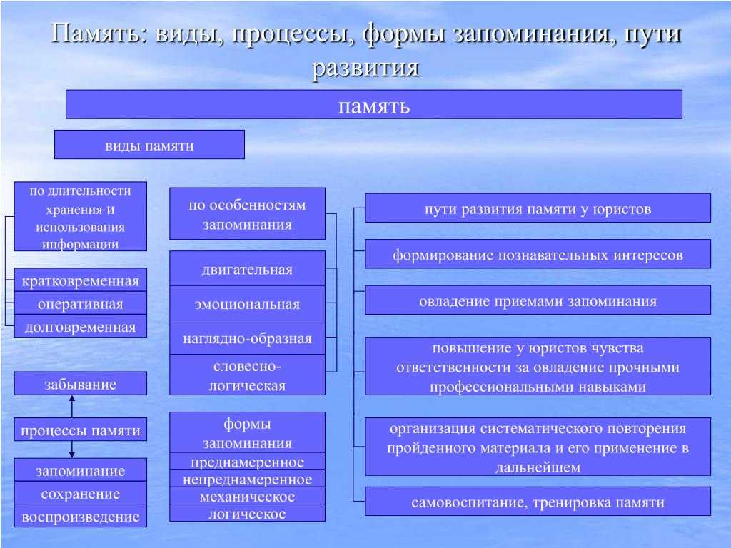 Память