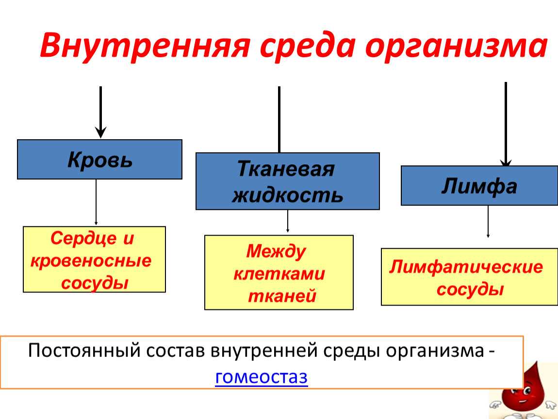 Внутренняя среда организации [реферат №5774]