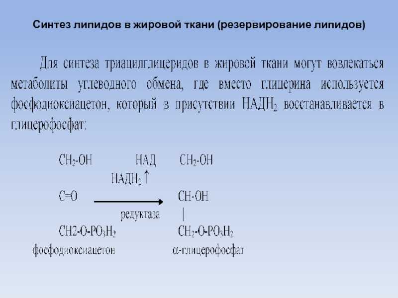Окисление глицерина его энергетический эффект биохимия