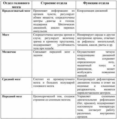 Презентация на тему: "создание таблиц по теме: «строение и функции головного мозга» кодлаева а.а., учитель биологии моу «сош 3» г. элисты, республики калмыкия образовательный.". скачать бесплатно и без регистрации.