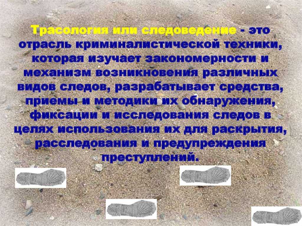 Трасология: когда шерлок идет по следу | блог 4brain