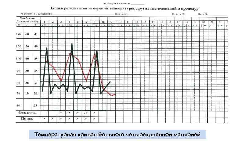 Температурный лист титульник и вывод. как заполнять температурный лист