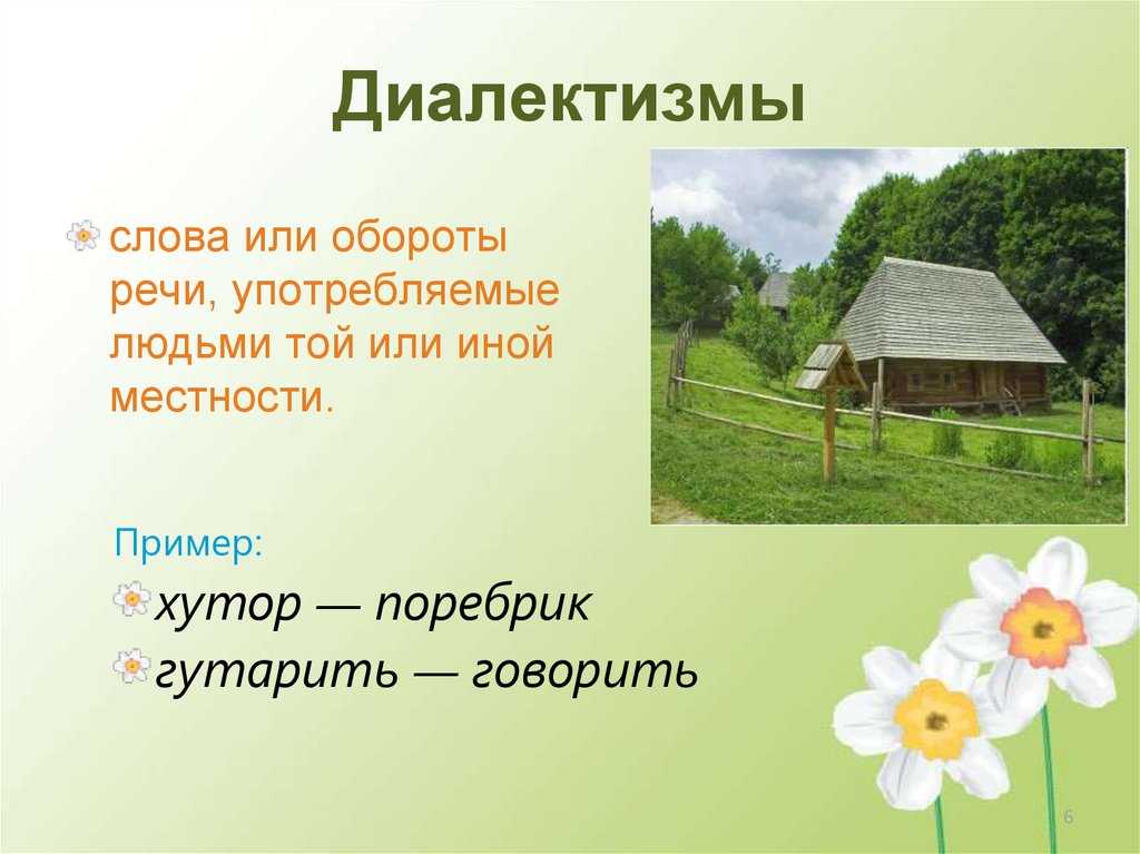 Диалектизмы. что такое диалектные слова. примеры