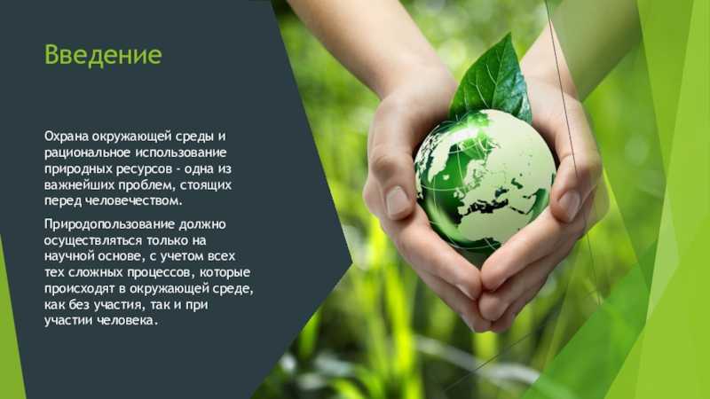 Статья 4. объекты охраны окружающей среды. комментарий к статье 4