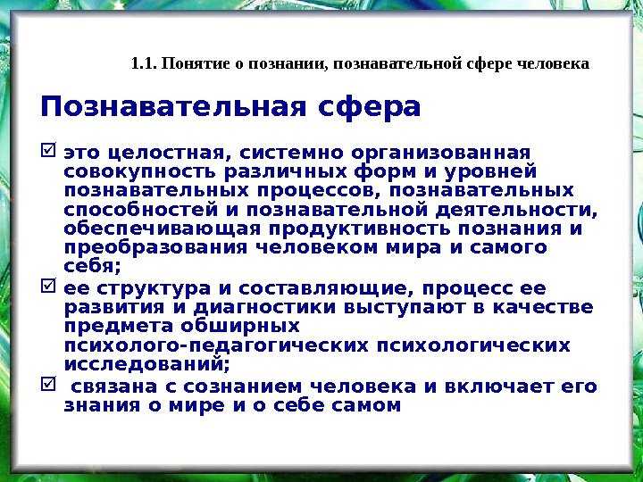 Основные познавательные психические процессы личности: что к ним относится