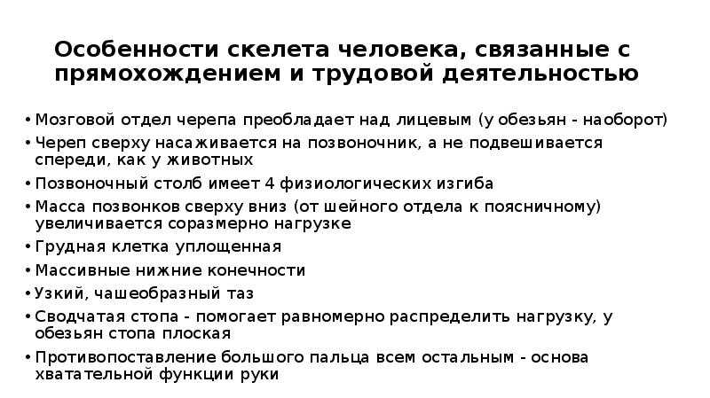 Опорно-двигательная система