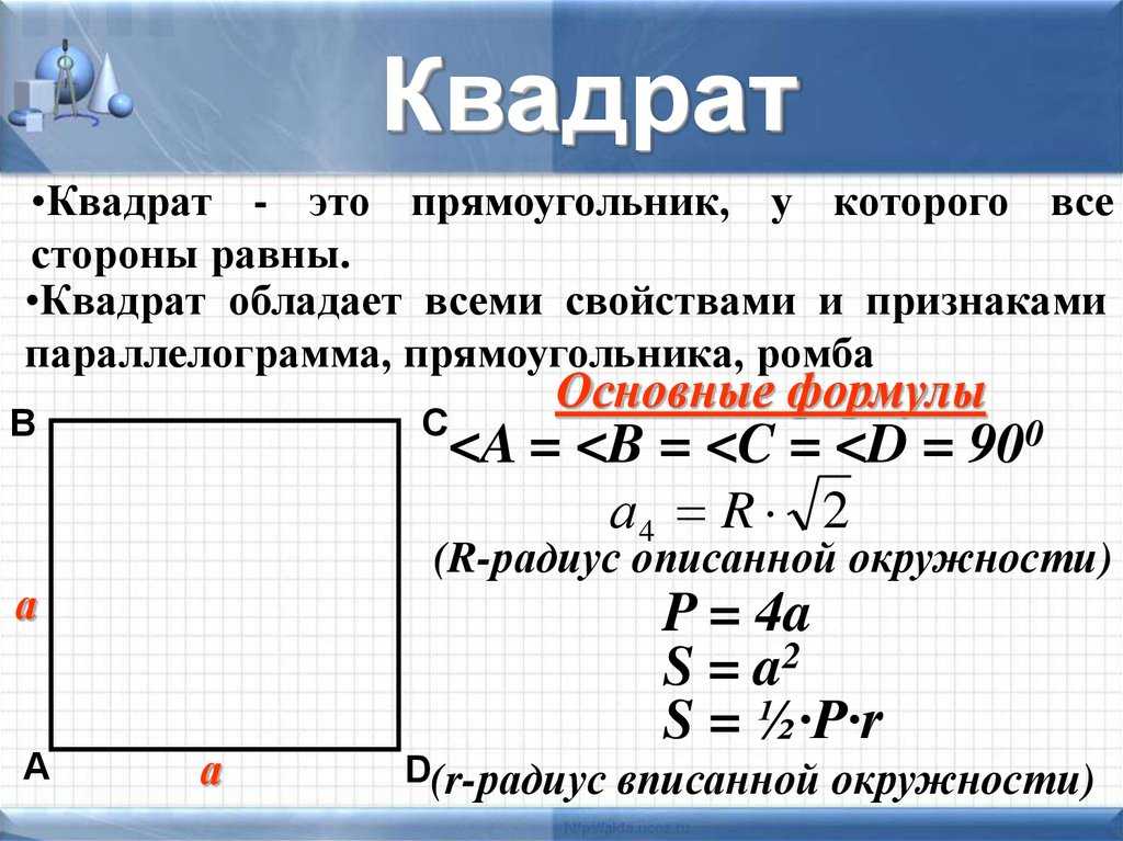 Что такое прямоугольник: определение, свойства, признаки, формулы