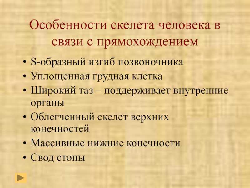Сходство и различия в строении скелета человека и животных