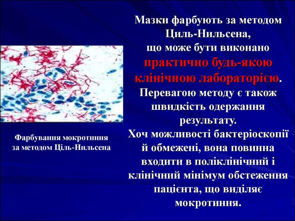 Окраска по методу циля-нильсена и грама