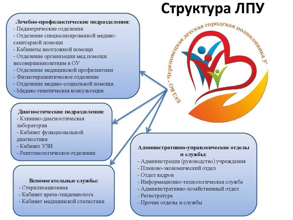 Структура медицинской организации кратко