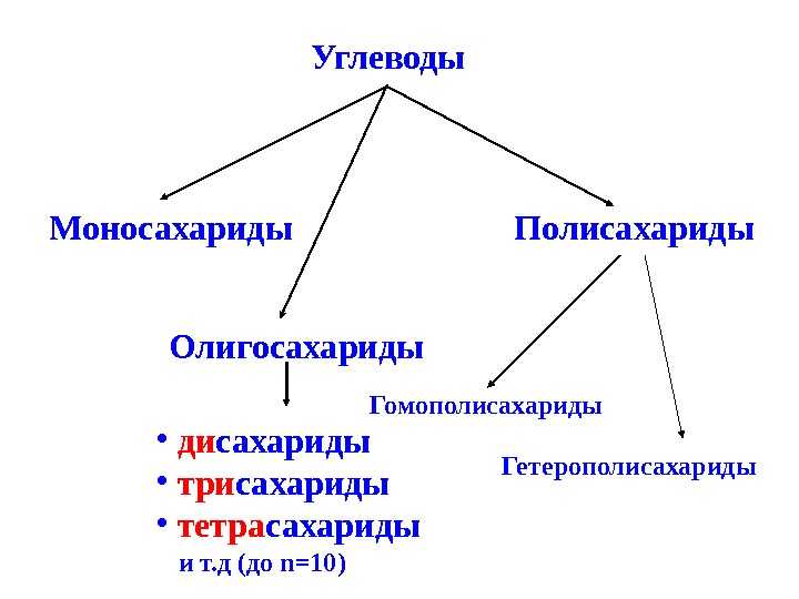 Биологически важные вещества | chemege.ru