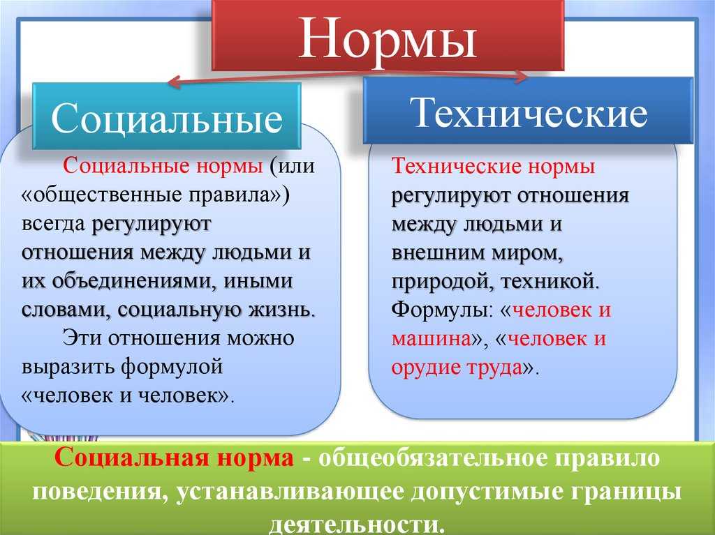 Технические и социальные нормы их виды доклад
