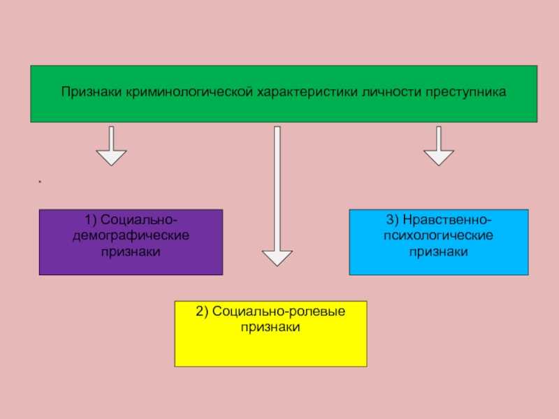Структура личности  преступника (по к.к. платонову)