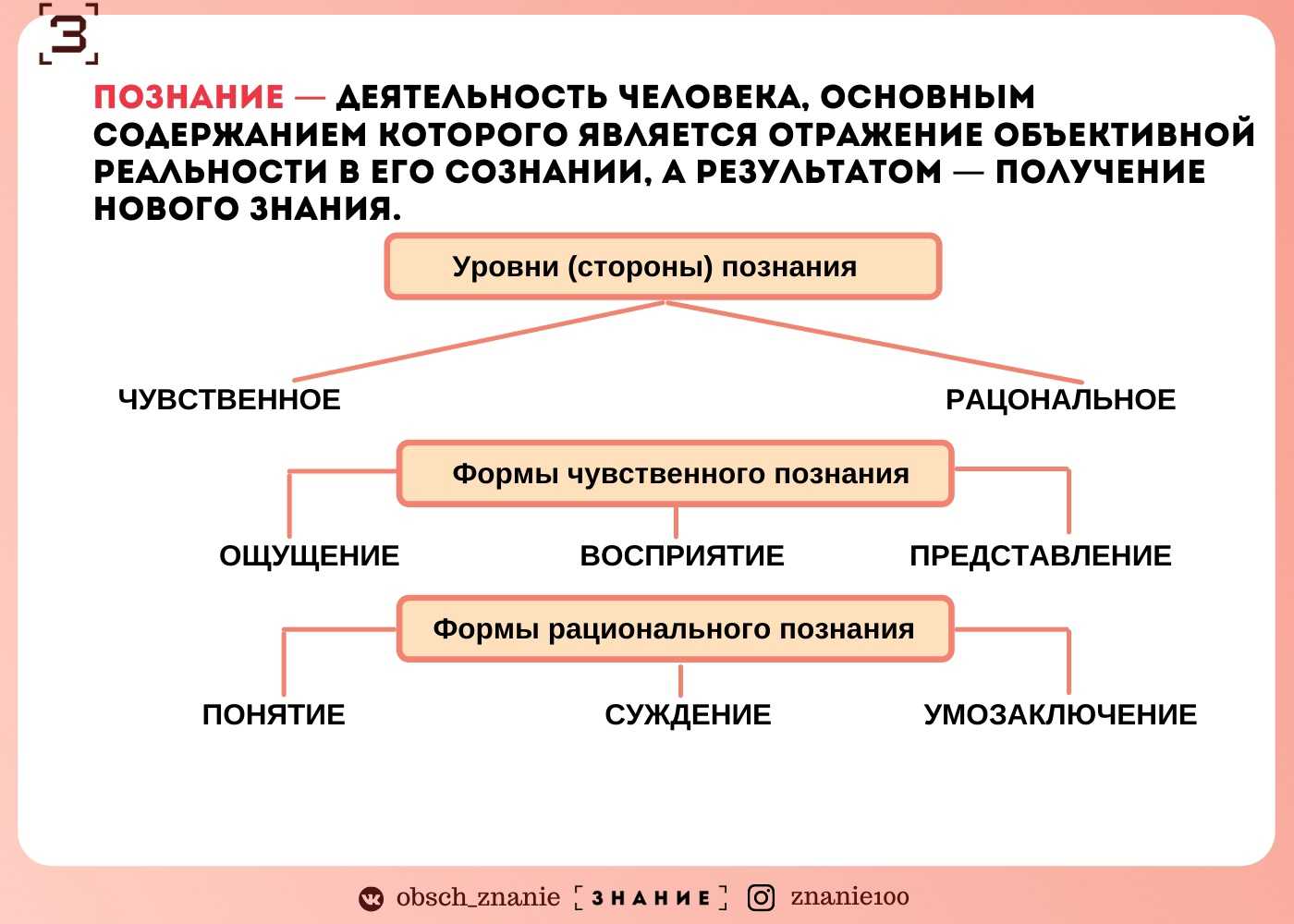 Познание мира — виды, уровни и формы