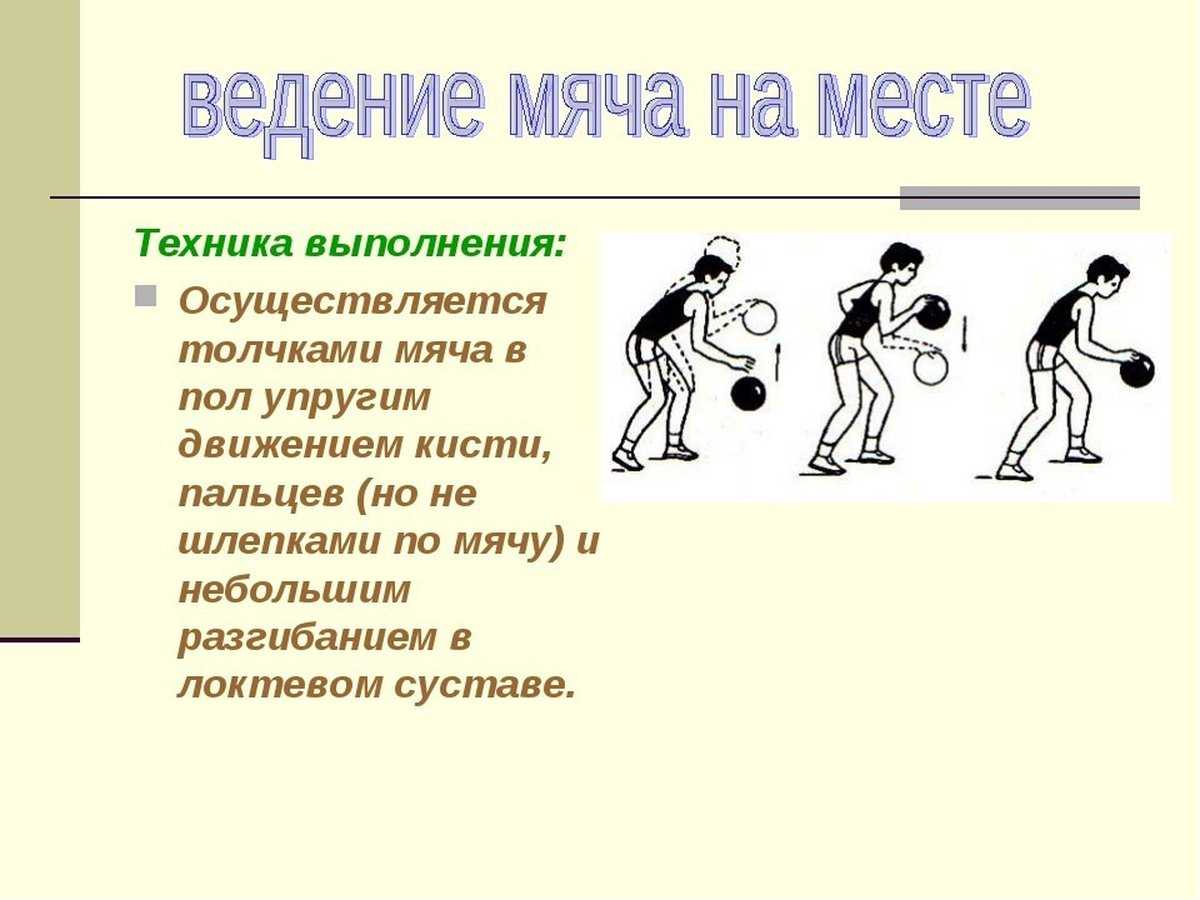 Ведение в баскетболе – основные правила техники ведения мяча в баскетболе