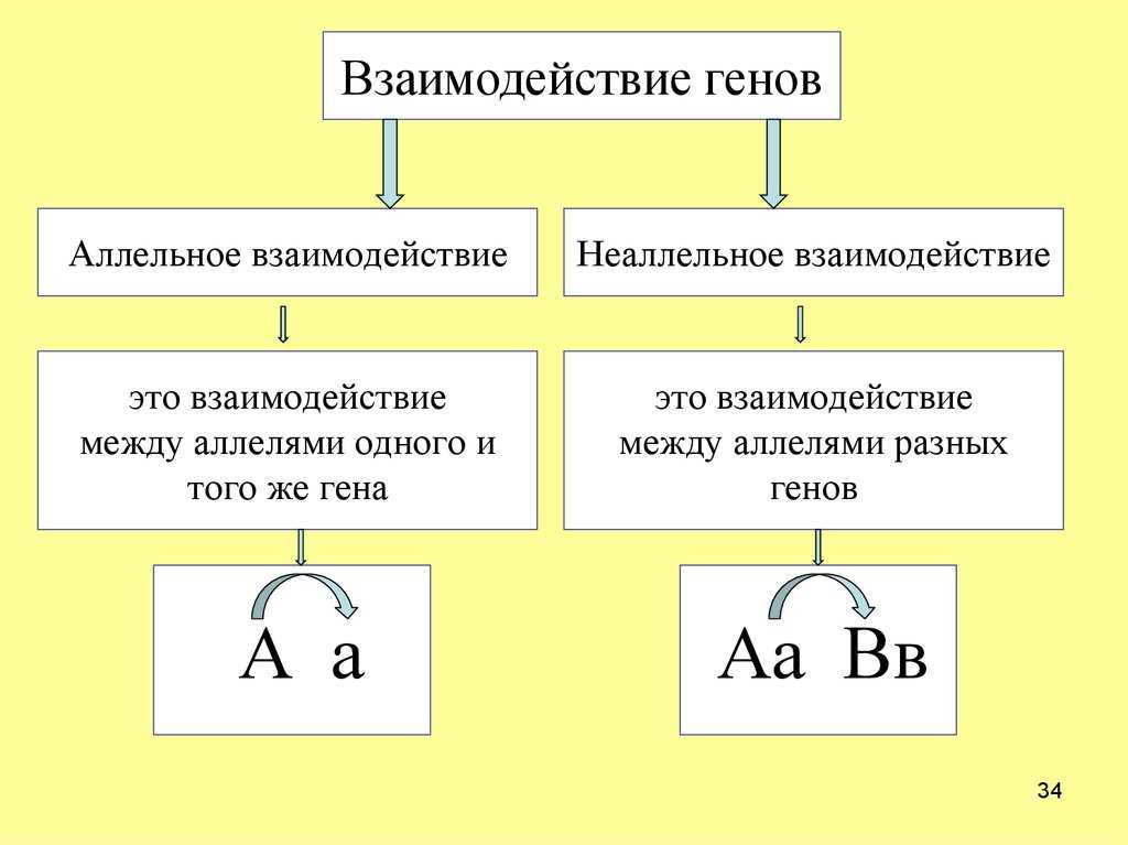 Закономерности наследственности