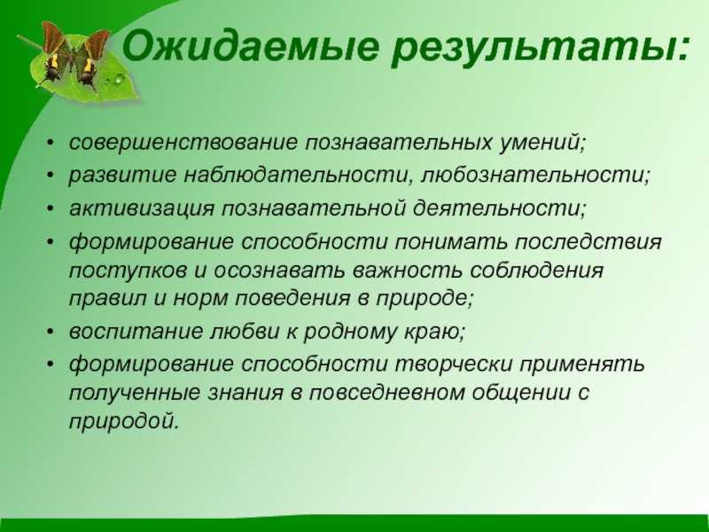 Каковы могут быть результаты проектов кратко