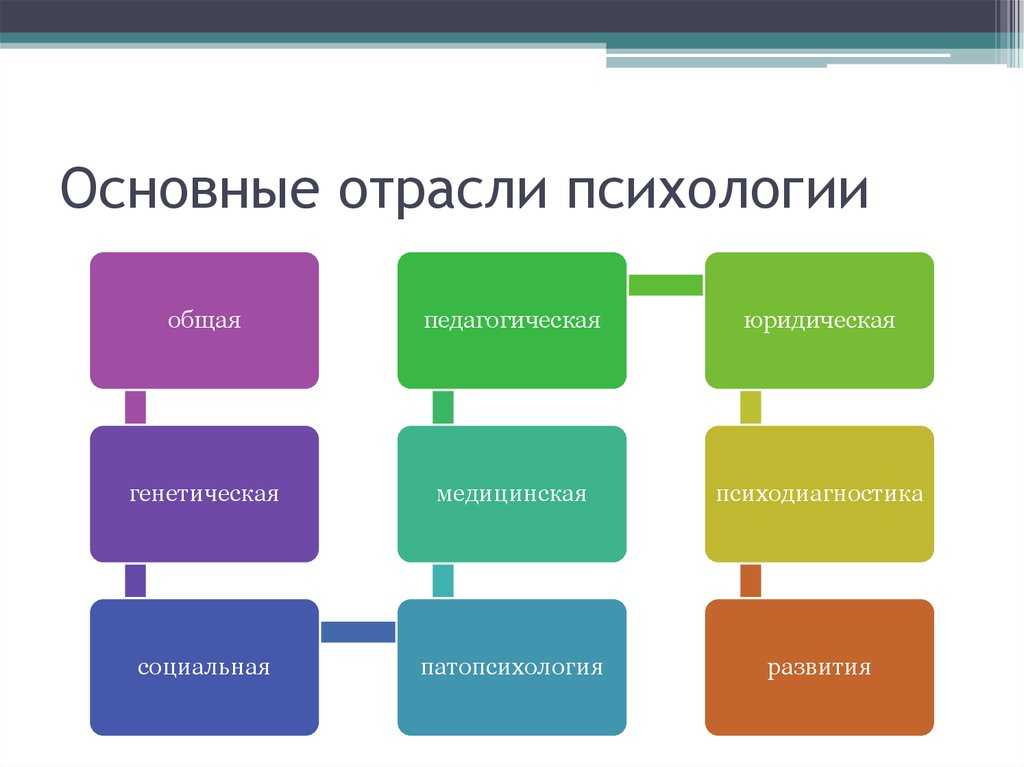 Основные отрасли психологии