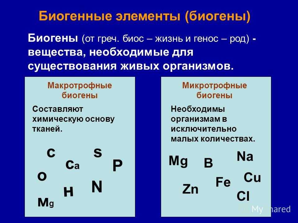 Параграф 23 - естествознание. 11 класс. габриелян о. с. — викирешебник