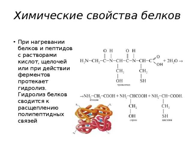 Биуретовая реакция на белки уравнение реакции