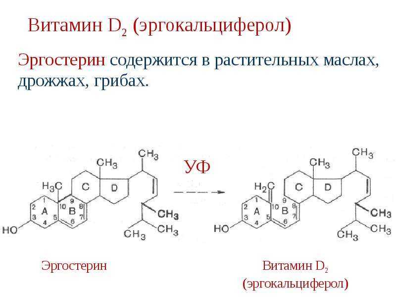Эргокальциферол