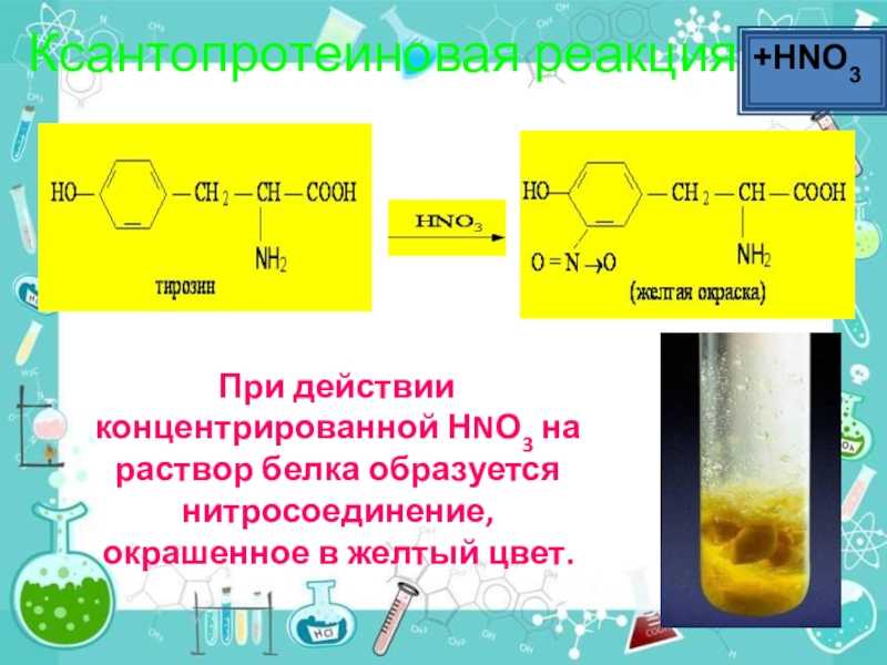 Ксантопротеиновая реакция на яичный белок уравнение реакции