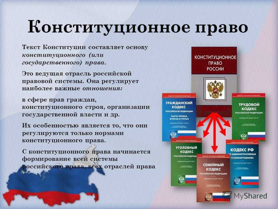 Понятие и виды конституционного контроля, курсовая работа