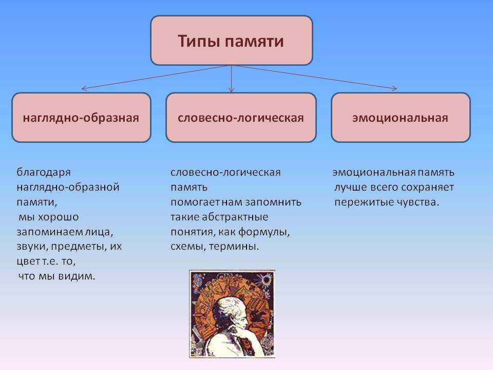 Память: сущность, основные виды и пути развития