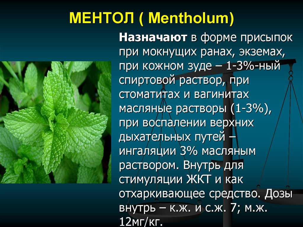 Ментол: польза и вред