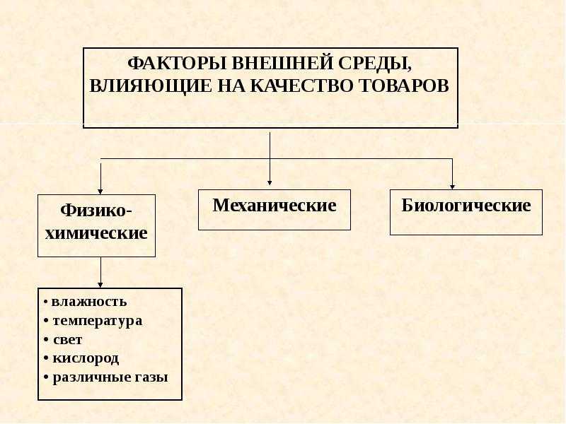 Ассортимент