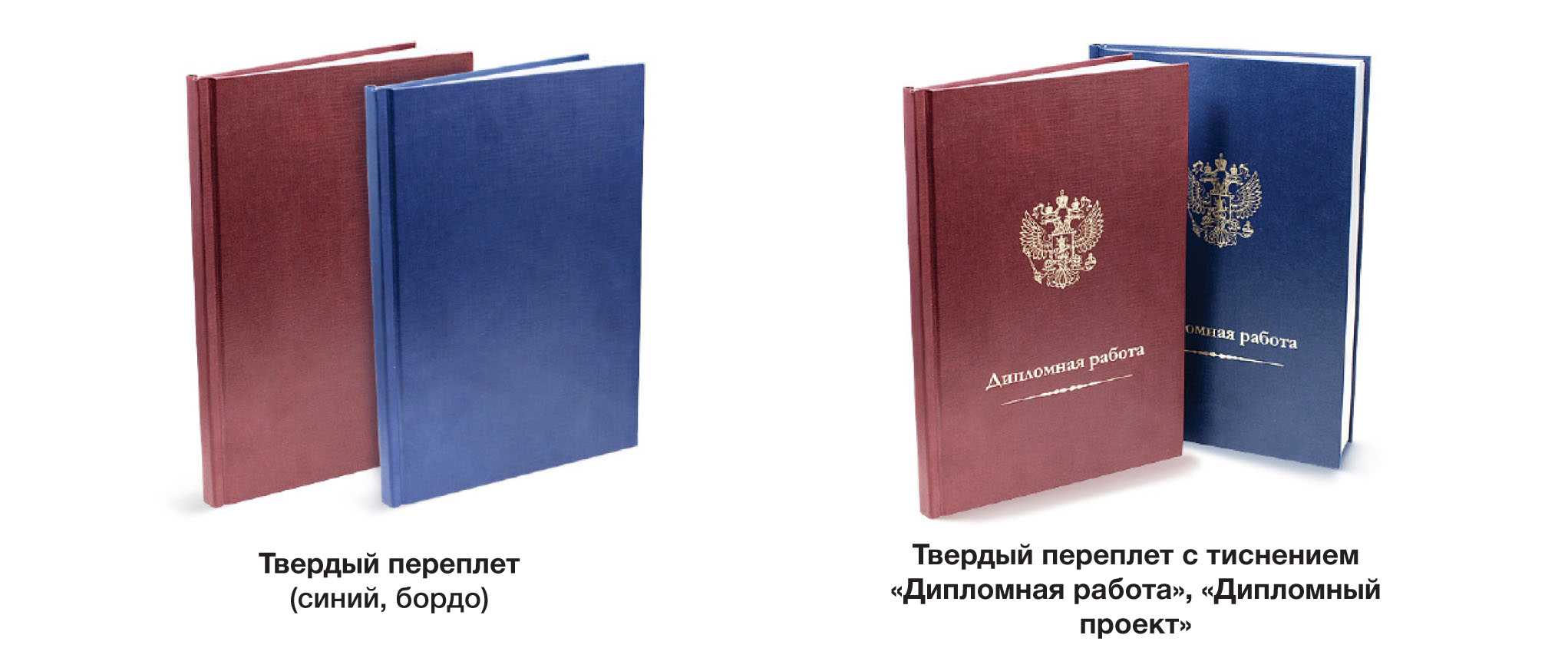 Понятие «интеграция» с точки зрения структурного функционализма | статья в журнале «молодой ученый»