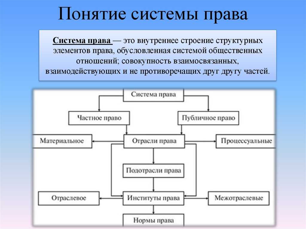 Система права и система законодательства - теория государства и права (алексеев с.с., 2005)