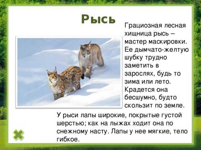 Позднее средневековье (xvi – нач. xvii века). особенности развития стран востока