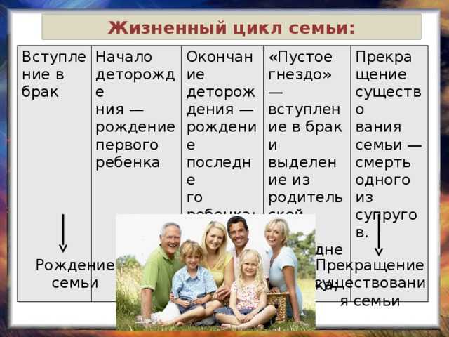 Типы семей и их характеристика