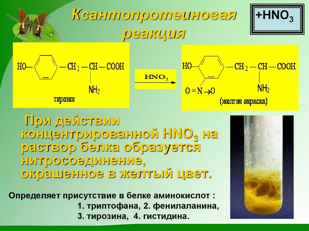 Химия. 10 класс