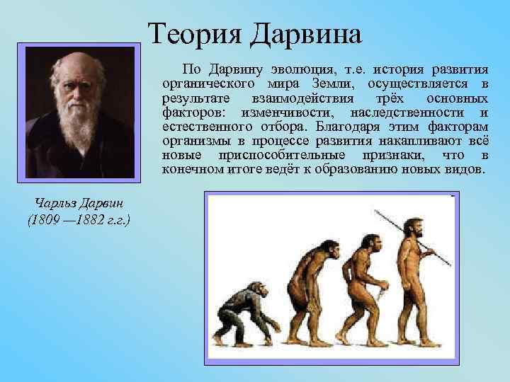 4. эволюционная теория чарлза дарвина