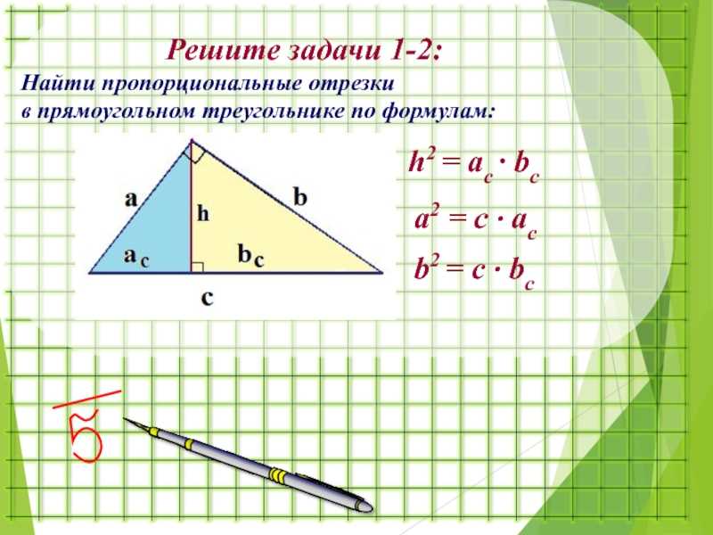 8 класс. геометрия. пропорциональные отрезки в прямоугольном треугольнике.