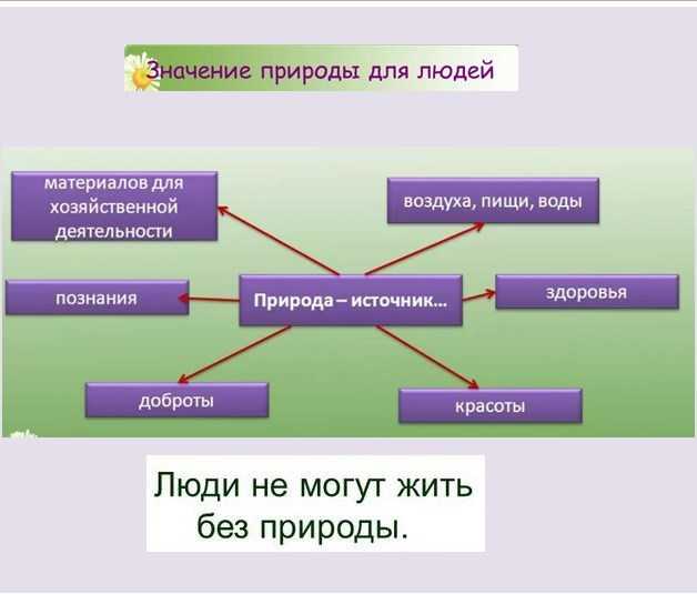 Взаимосвязь общества и природы — особенности, этапы развития и современные проблемы
