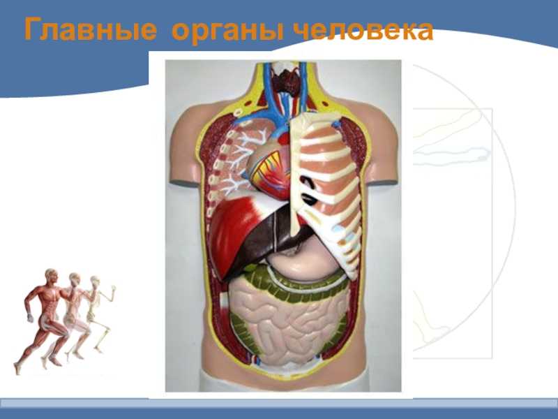 Окраина