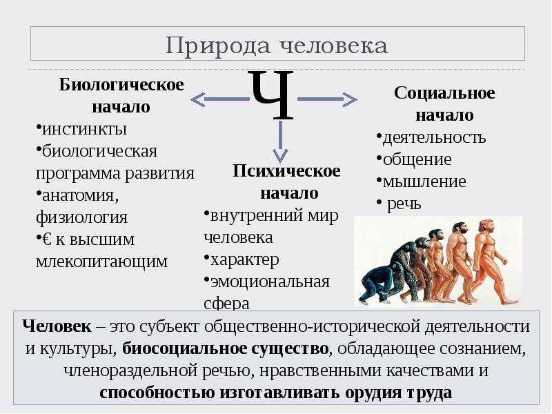 Личность – социальная сущность человека, как проявляется (обществознание, 10 класс)