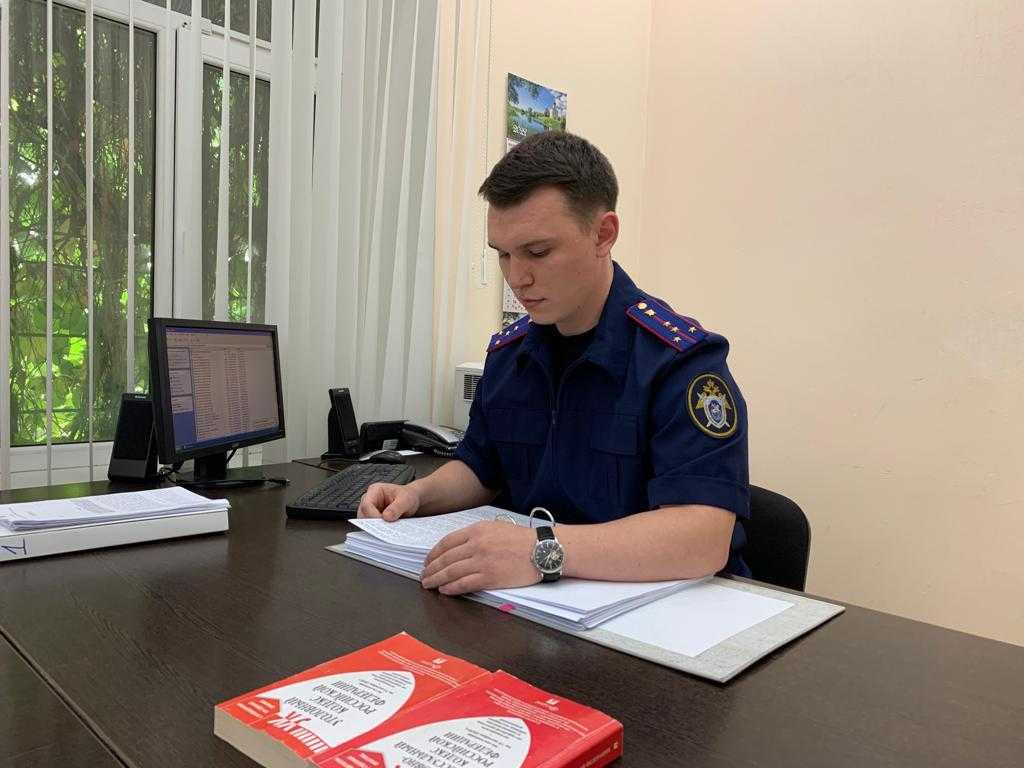 Система органов прокуратуры рф. принципы их организации и деятельности