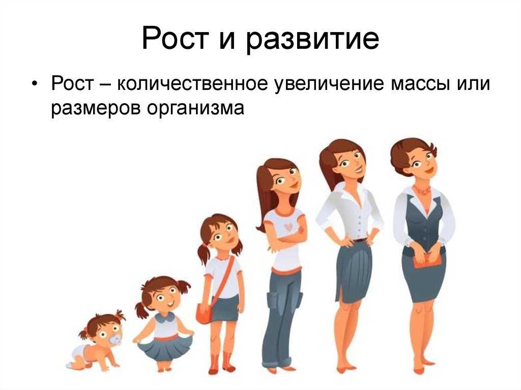 Рост и развитие организма – биология